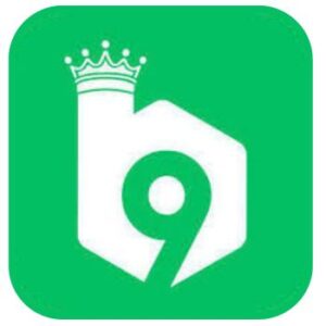 Download B9 Game APK Official verion in Pakistan